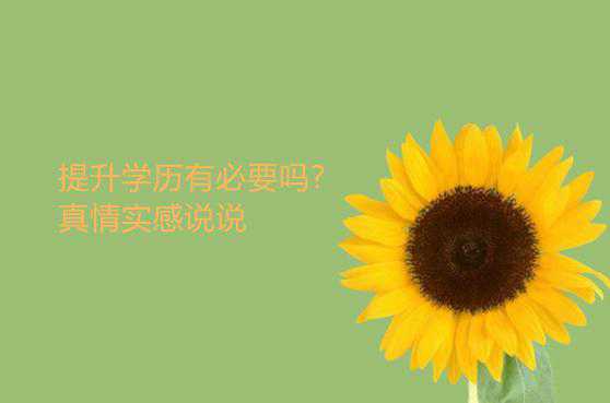 提升學歷有必要嗎?真情實感說說