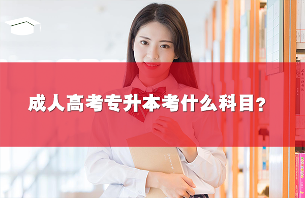 成人高考專升本考什么科目